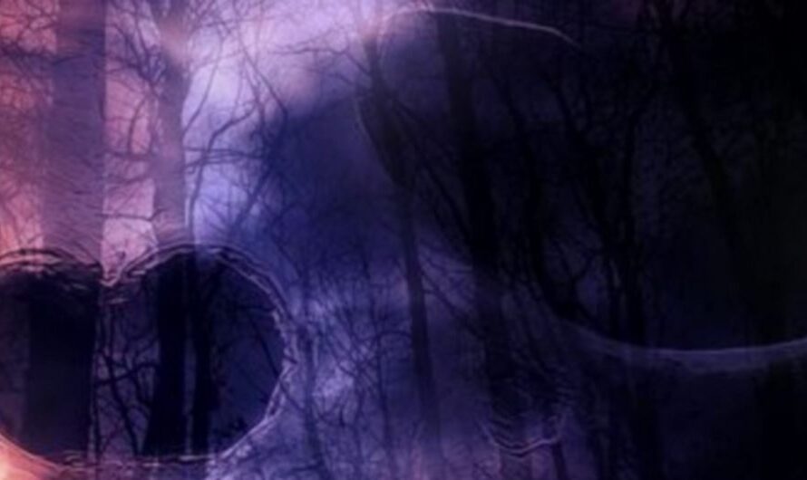 Der Thriller – Die reine Sensation