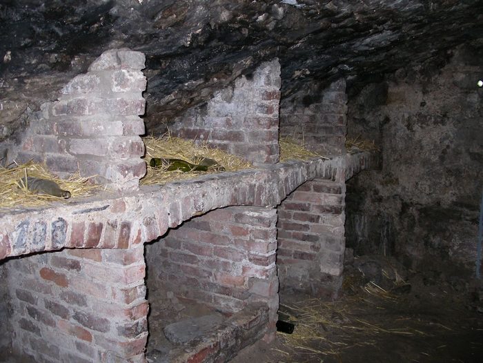 Edinburgh Höhlen