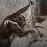 Rue Morgue