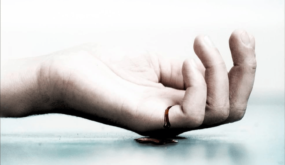 Fenster zum Tod (Linwood Barclay)