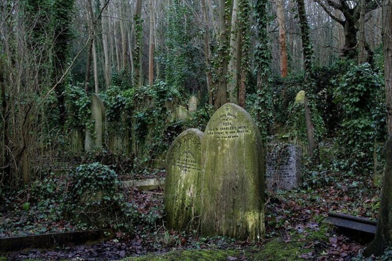 London Highgate