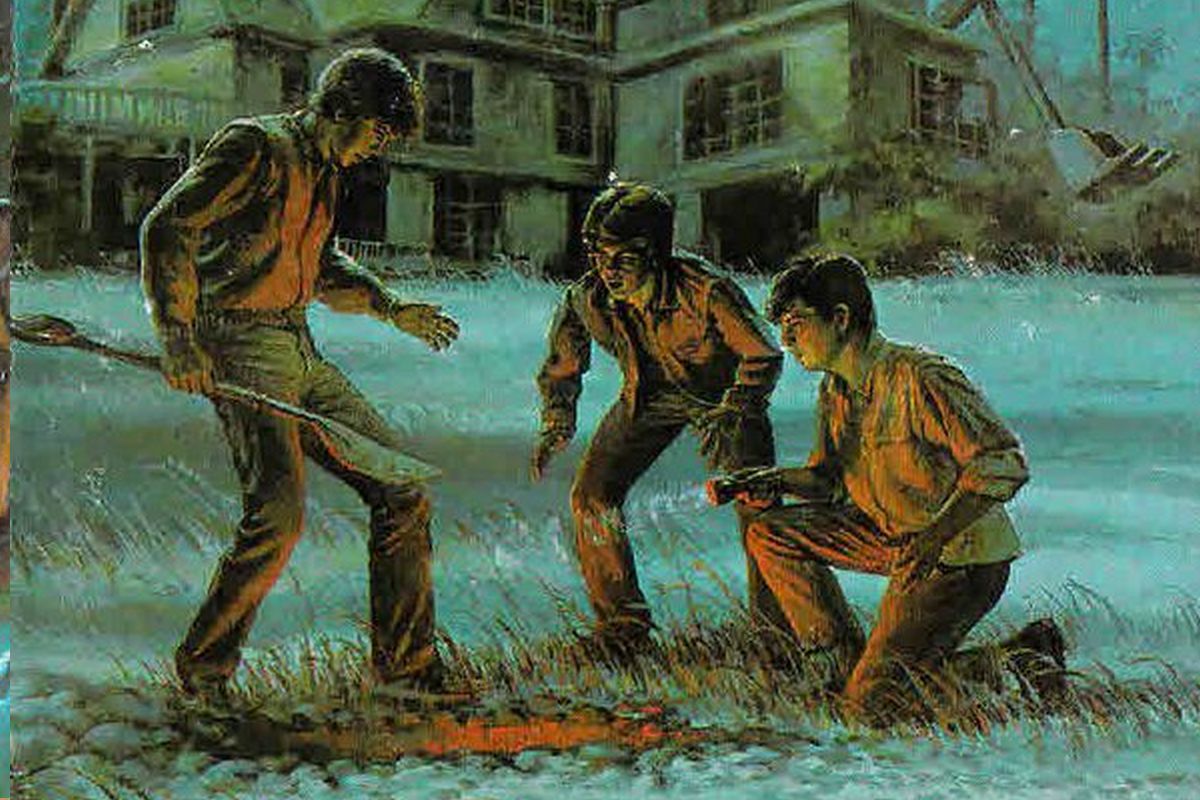 Die drei ??? und der Fluch des Rubins / Robert Arthur